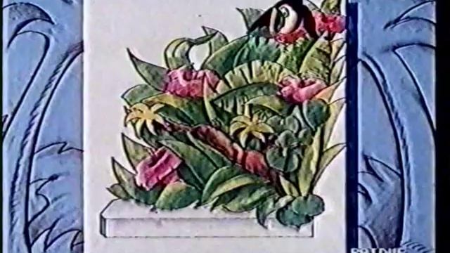 [TV 90] Bumper Rai "Tucani" (anni '90) смотреть онлайн