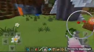 Minecraft (домики для собак и кошек)