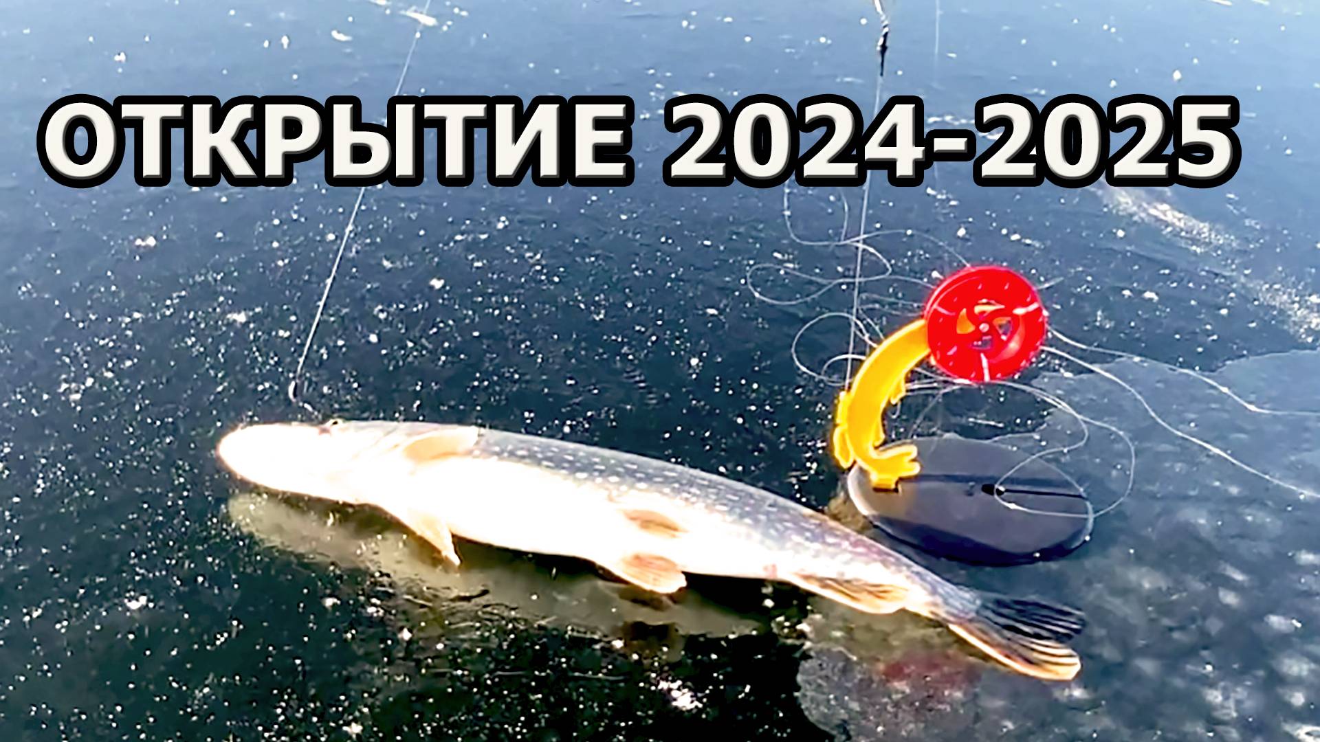 Открытие 2024-2025. Зимняя рыбалка на жерлицы в Самарской области.