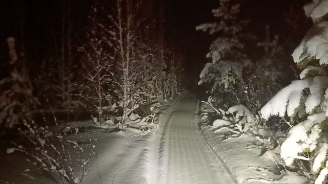 Зимняя Тайга. смотреть онлайн