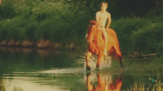 Красный конь. Одна из визитных карточек Валентина Дьяконова смотреть онлайн