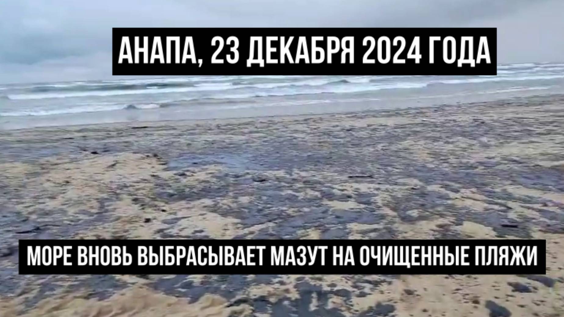 Анапа, пляжи, 23 декабря 2024 года, новая волна мазута смотреть онлайн