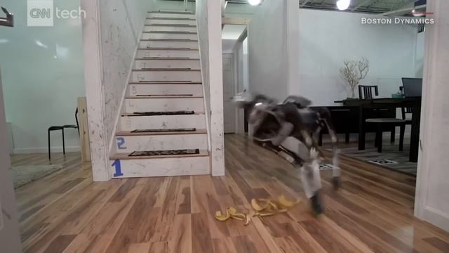 Boston Dynamics teases updated robot dog, SpotMini смотреть онлайн