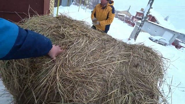 Прикатили рулон сена на тележке. Коровы на прогулке. Стряпаем вареники. Дед ремонтирует тестомесилк смотреть онлайн