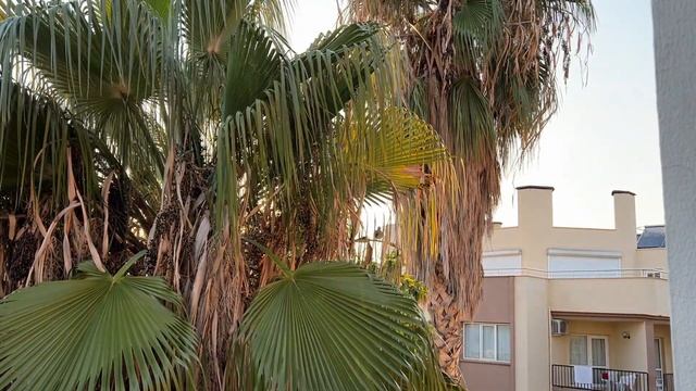 Поменяли валюту, заселились в отель, объелись донерами в Турции. Цены в магазине смотреть онлайн