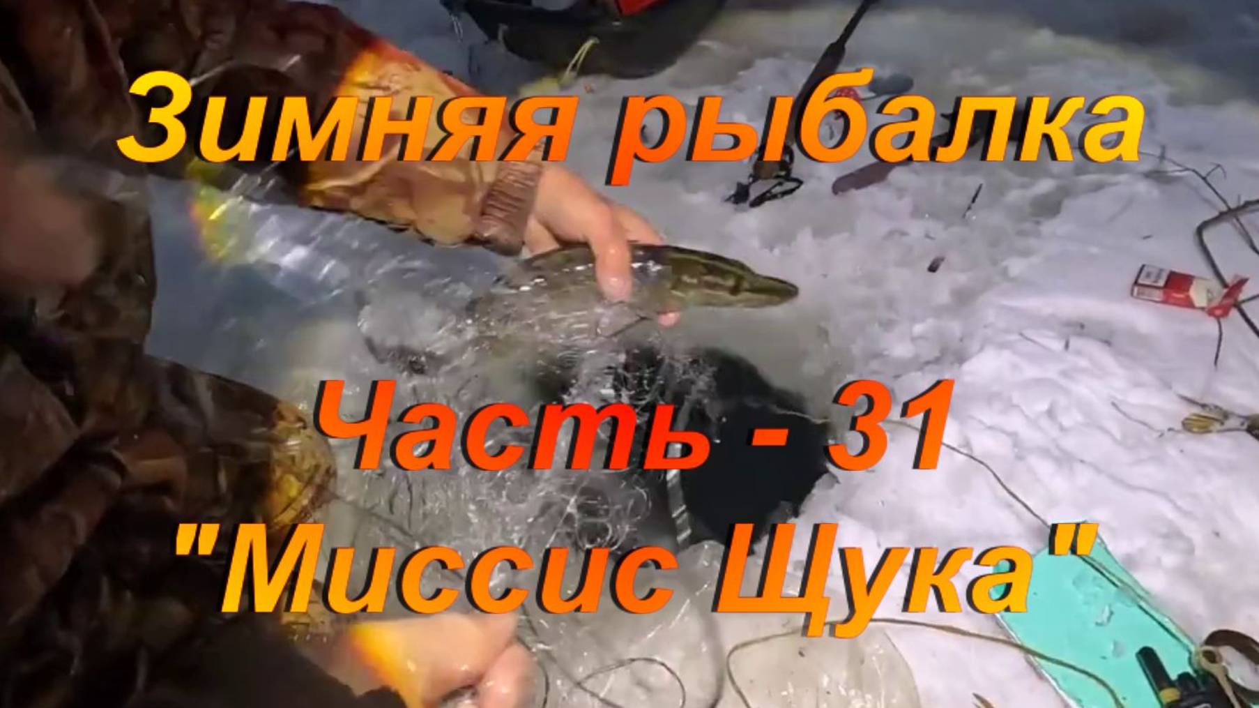 Зимняя рыбалка. Часть - 31. "Миссис Щука". смотреть онлайн