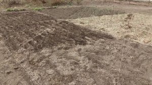 Быстрые грядки - треугольные.