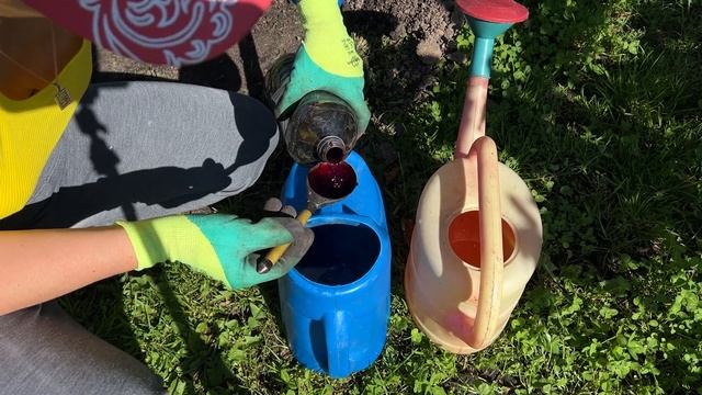 Чудесный день на даче. Посадили новые хвойники, подвязали малину смотреть онлайн