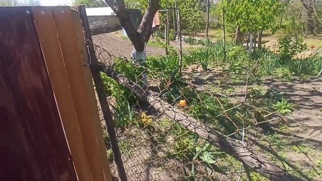 целый день меня заставляли работать. красила кругом, мне не понравилось. смотреть онлайн