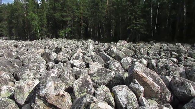 MVI 2694 смотреть онлайн