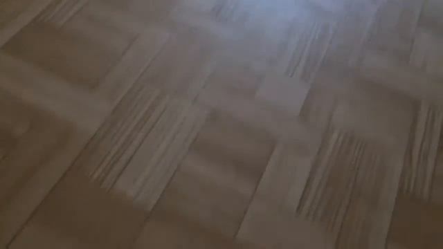 Утро глазами собаки/// апельсин в эфире/// не судите строго))) смотреть онлайн