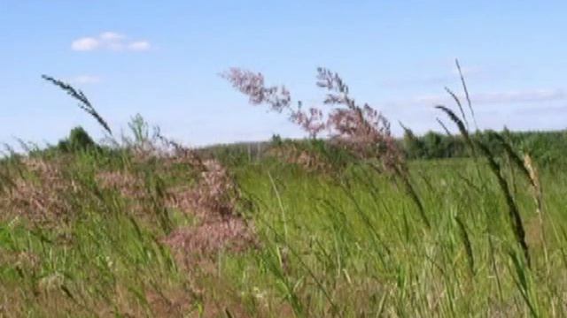 Там среди русских полей И Ведерников смотреть онлайн