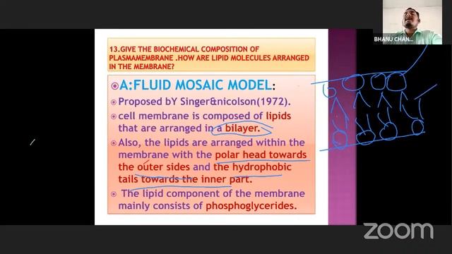 Cell Structure and Functions Bhanu Chander, Beechupally смотреть онлайн