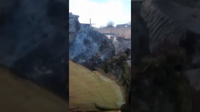 Самое везучае животное на свете смотреть онлайн