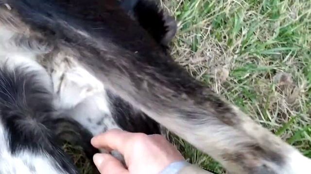 Каспийск в выходные смотреть онлайн