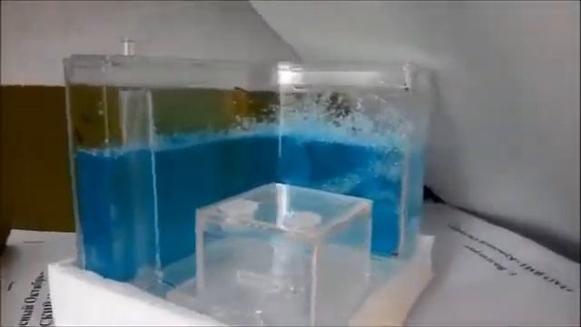 Муравьиная ферма с Aliexpress