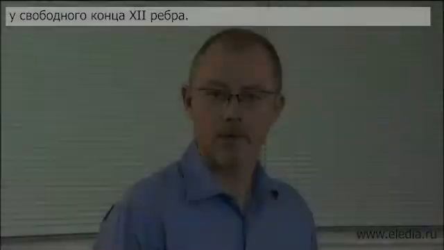 Урчание кишечника смотреть онлайн
