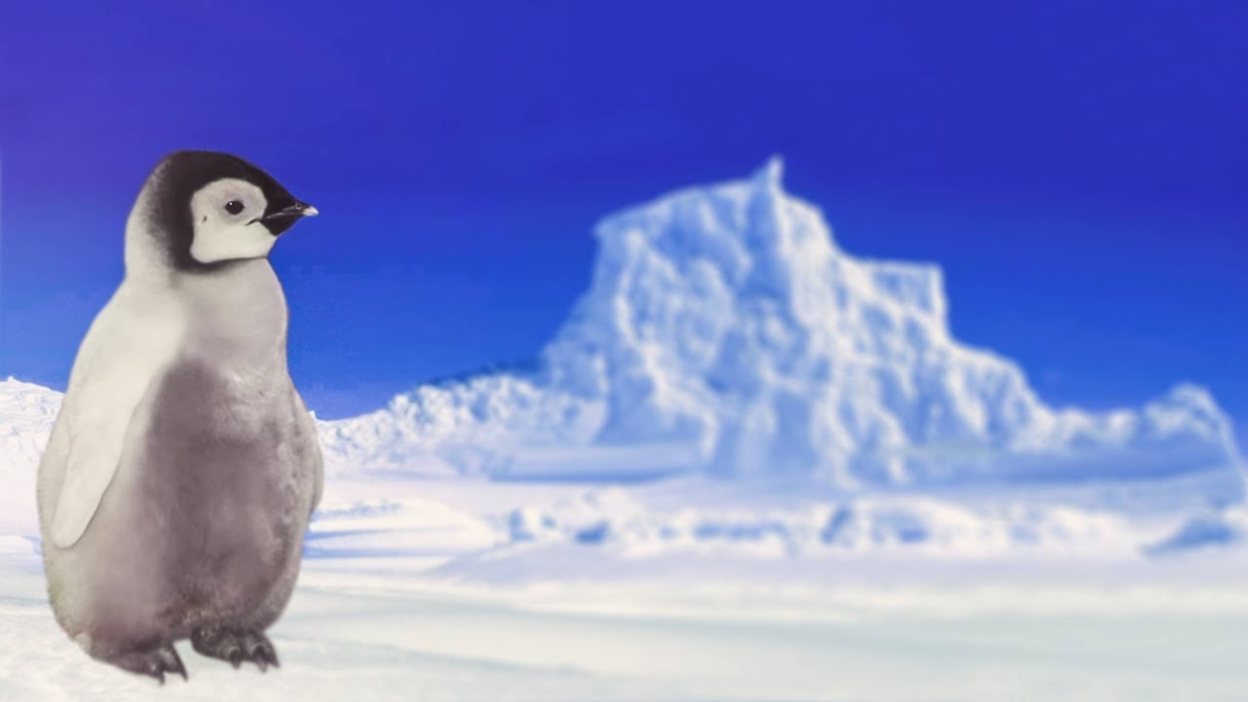 Пингвин - Наталия Лансере - детская песня про пингвина - Смешной клип смотреть онлайн