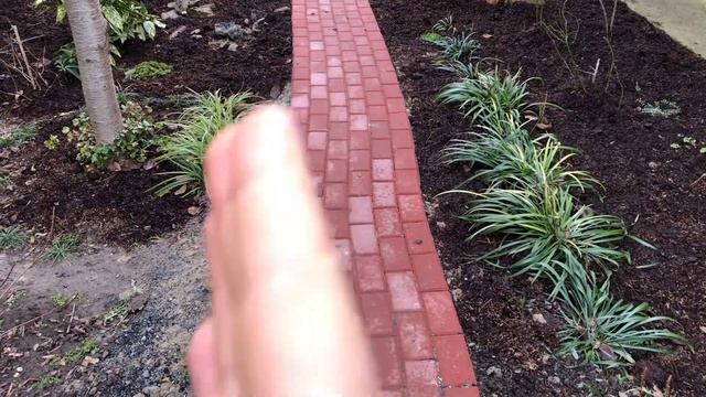 ПОСАДКА НОВЫХ РАСТЕНИЙ В ЮЖНОМ САДУ. 12 февраля 2024 год. смотреть онлайн