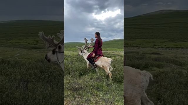 Girl riding a Reindeer смотреть онлайн