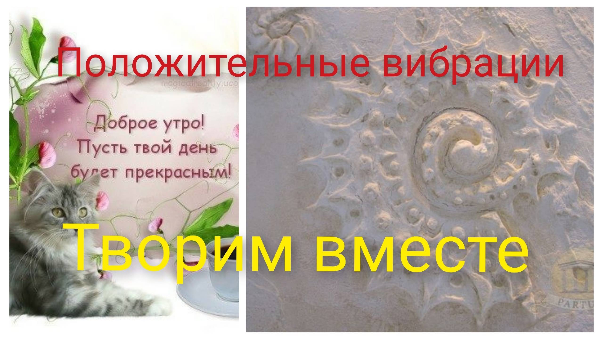 Положительные эмоции.Взрастите дерево добра смотреть онлайн