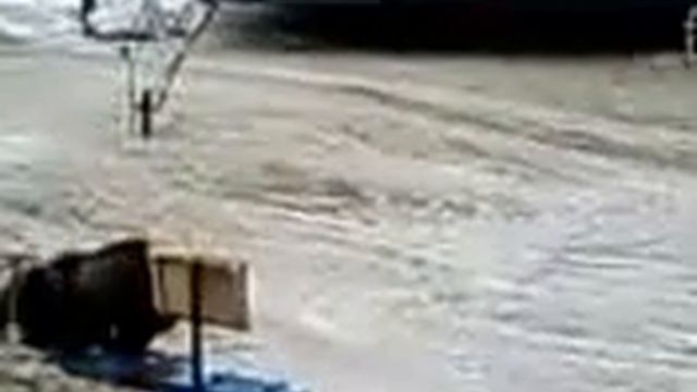 Медведи пакостят смотреть онлайн