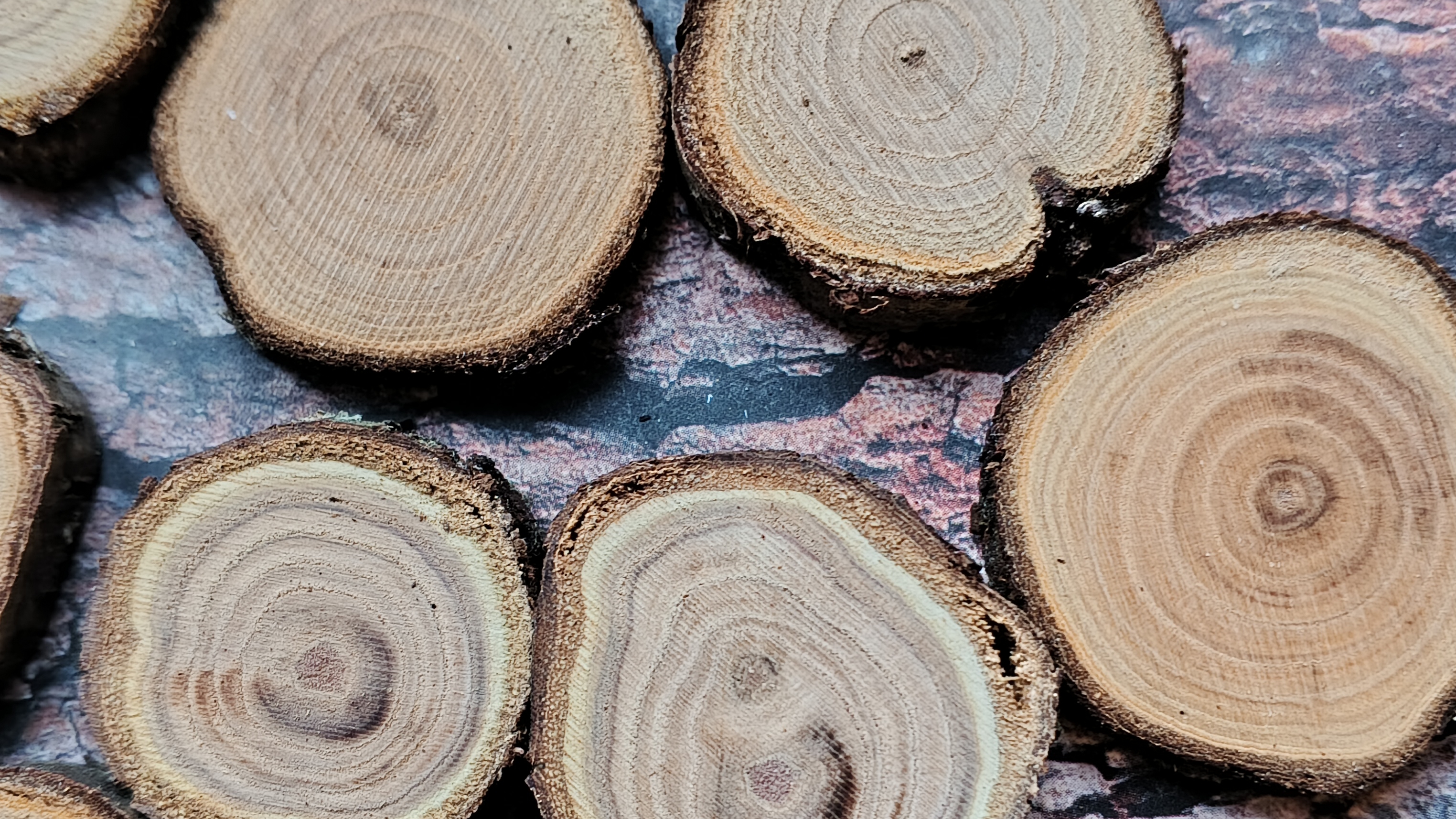 Мастерская Лес у Моря