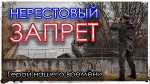 Нерестовый запрет. Герой нашего времени.