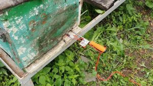 УНИЧТОЖАЕМ КЛЕЩА, ВЕЧНЫЙ ИСПАРИТЕЛЬ ДЮКАРЕВЫХ.