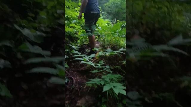 Мезмай ч.7 Сусанин))) смотреть онлайн