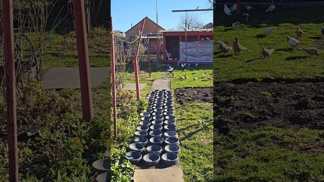 2.12.23.начну выводной сезон смотреть онлайн