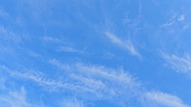 Голуби,была командировка и сапсан смотреть онлайн