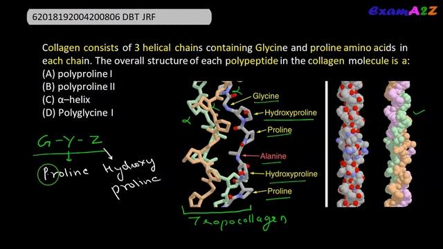 Collagen consists of 3 helical chains containing Glycine and proline amino acids in each chain. DBT смотреть онлайн