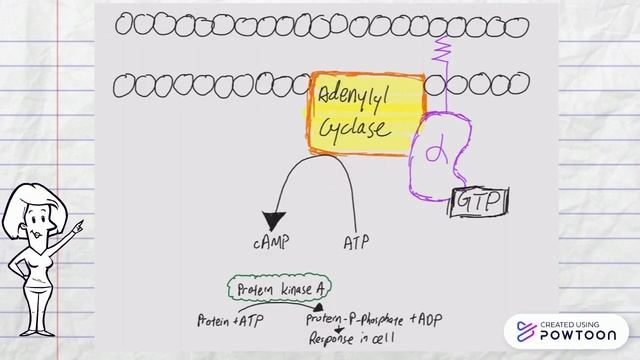 Ranitidine on GPCR смотреть онлайн