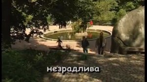 Караоке українські пісні.  РІДНА МАТИ МОЯ