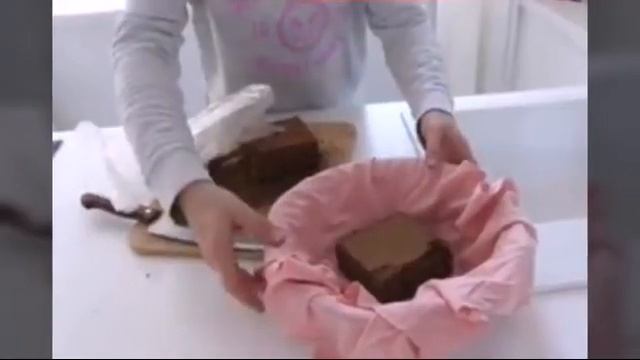 Гигантские меджик улитки. Реакция питомцев на них🐶🐱🔮🐌(фан Ани Меджик)