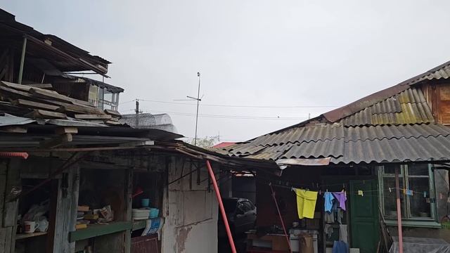 Голуби пробная тренировка смотреть онлайн