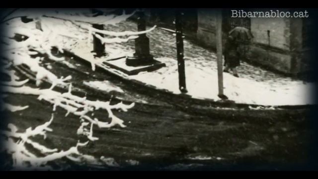El Bibarnabloc et recomana: El Carrer de les Camèlies смотреть онлайн