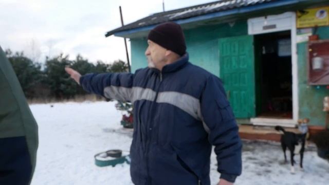 Собачки, яких викинули на вулицю у Володимирі, шукають домівку смотреть онлайн