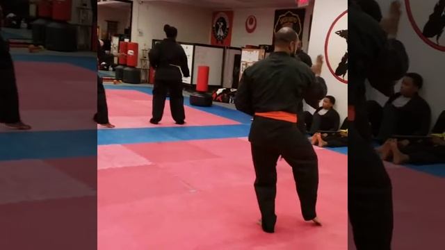 Matsubayashi Shorin Ryu Kata Pinan Shodan смотреть онлайн
