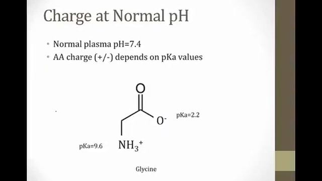 Amino Acids смотреть онлайн