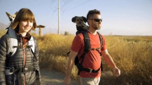 The ALL NEW KNAVIGATE - By K9 Sport Sack