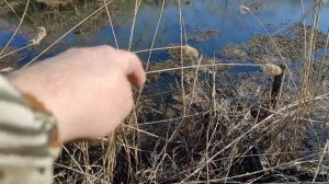 10,12,13 марта 2024