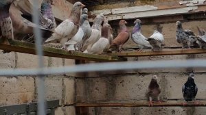 1.04.18 Г. Прохладный у Паши в гостях.