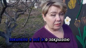 КАК❓ ВЫРАСТИТЬ ПОРОСЯТ ЗА ПОЛГОДА  СТО ДВАДЦАТЬ КИЛОГРАММОВ ОТКОРМ СВИНЕЙ