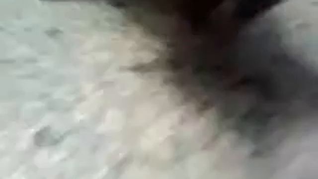 кот ест сырые макароны смотреть онлайн