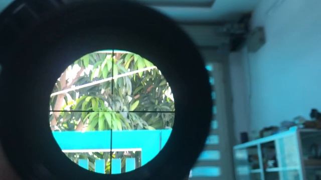 Ống ngắm Leupold M1 4.5-14x50 cao cấp thương hiệu của Pháp смотреть онлайн