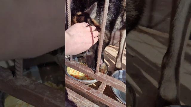 ❤️❤️❤️ смотреть онлайн