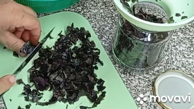 АРОМАТНАЯ ПРИПРАВА  для САЛАТОВ из БАЗИЛИКА! Как сохранить базилик на зиму без стерилизации