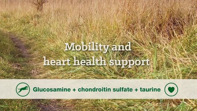 Nutrena True Active 26/18 Dog Food: смотреть онлайн